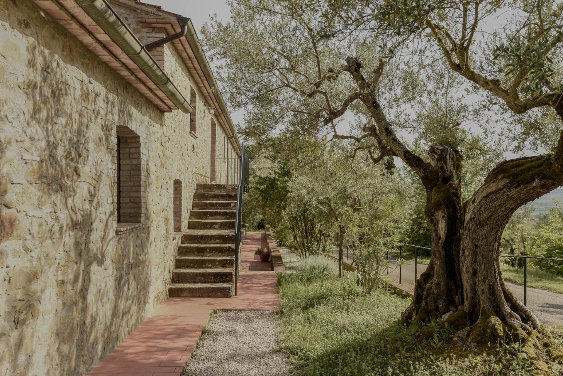 Agriturismo Il Mulino Delle Canutole มาจิโอเน ภายนอก รูปภาพ