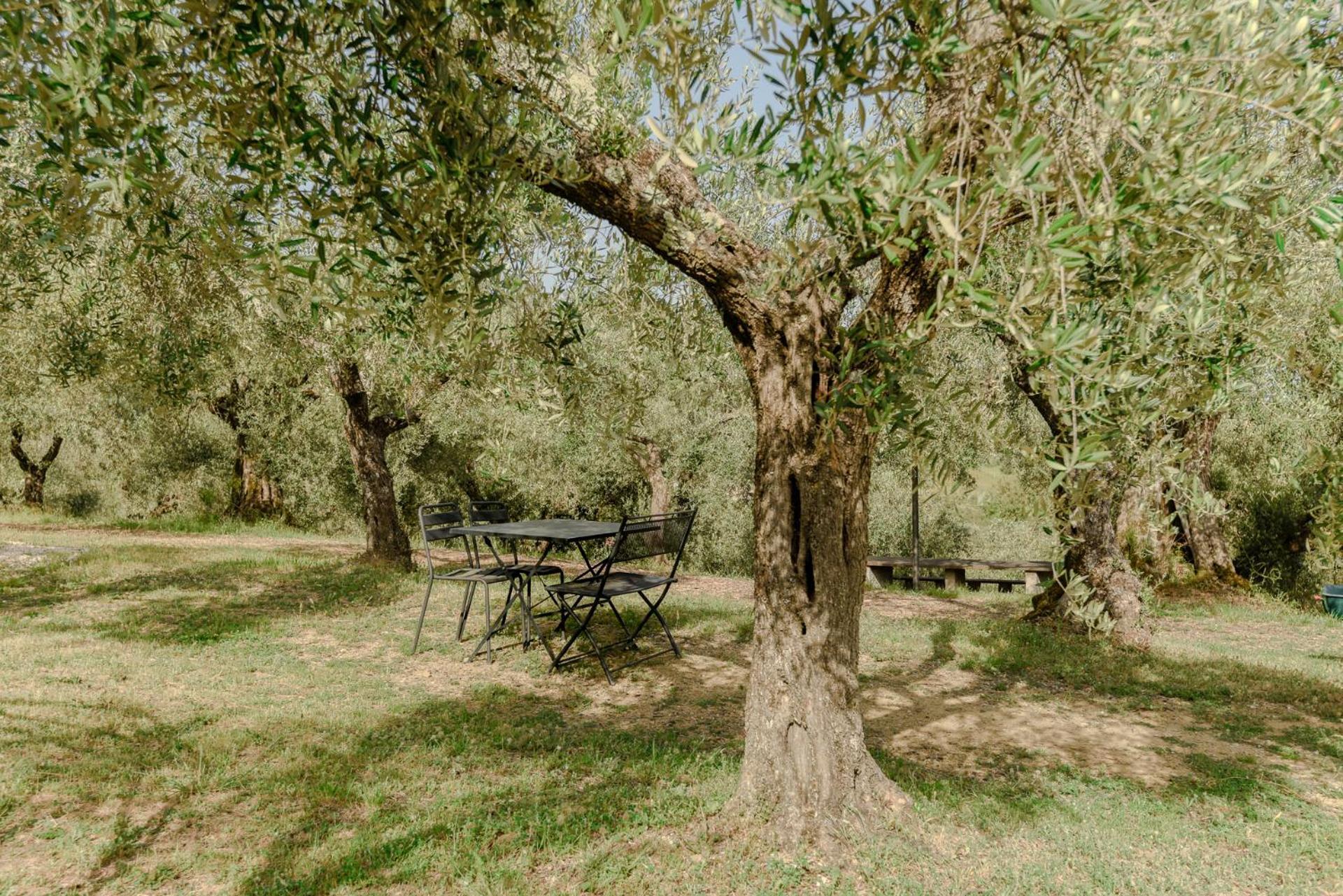 Agriturismo Il Mulino Delle Canutole มาจิโอเน ภายนอก รูปภาพ